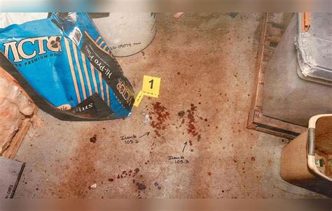 alex murdaugh crime scene pictures|Alex Murdaugh Trial: Gruesome Crime Scene Photos。